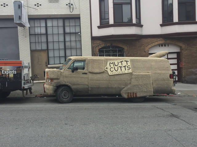 Morning Picdump