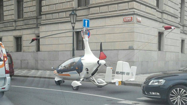 Morning Picdump