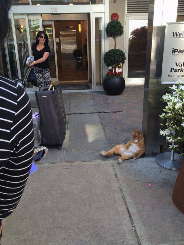 Daily Picdump [WEEKEND EDITION]