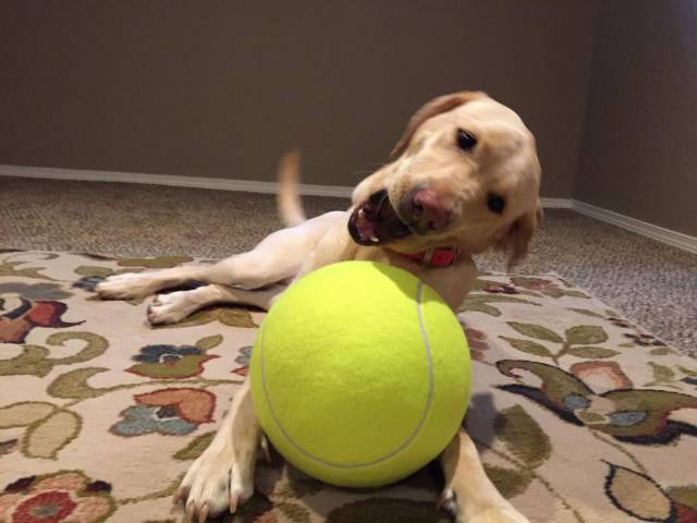 Daily Picdump [WEEKEND EDITION]