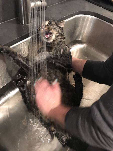 Daily Picdump [WEEKEND EDITION]