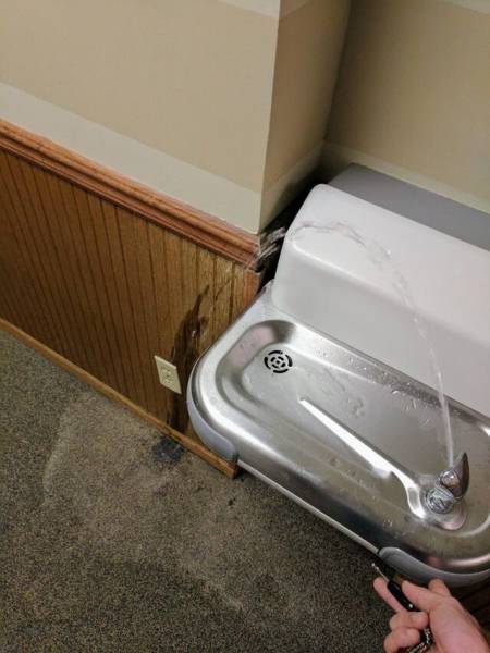 Pictures That Will Make You Cringe