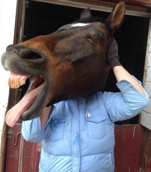 Daily Picdump