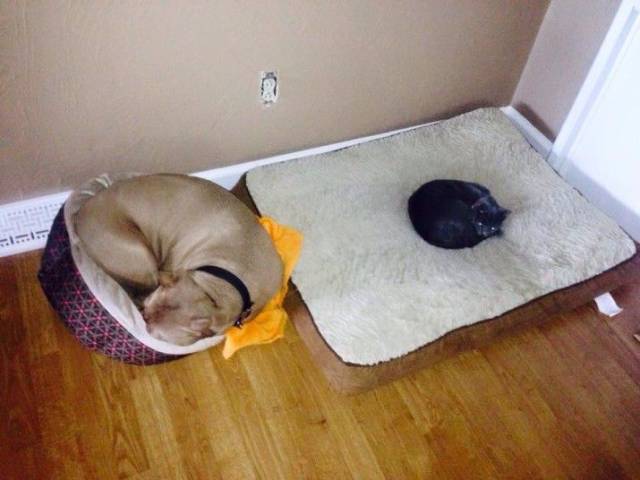Daily Picdump