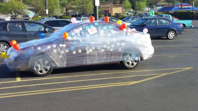 Daily Picdump
