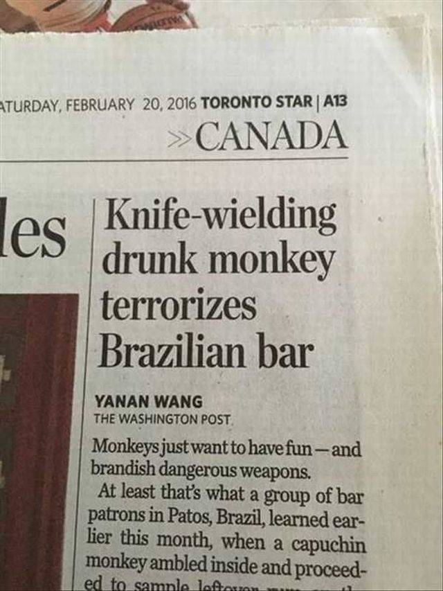 Daily Picdump