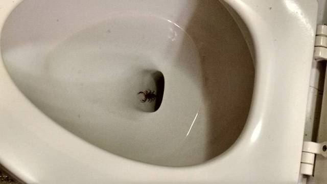 Daily Picdump [WEEKEND EDITION]