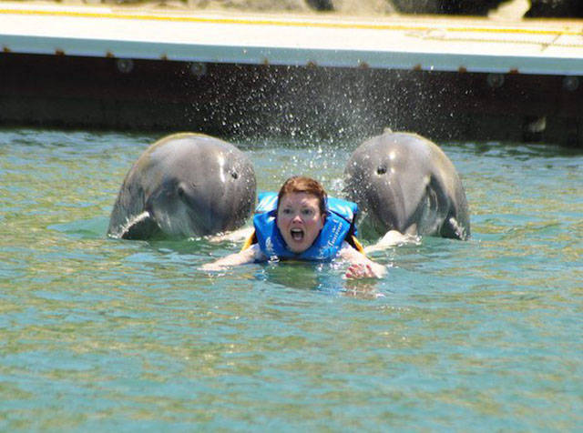 Daily Picdump [WEEKEND EDITION]