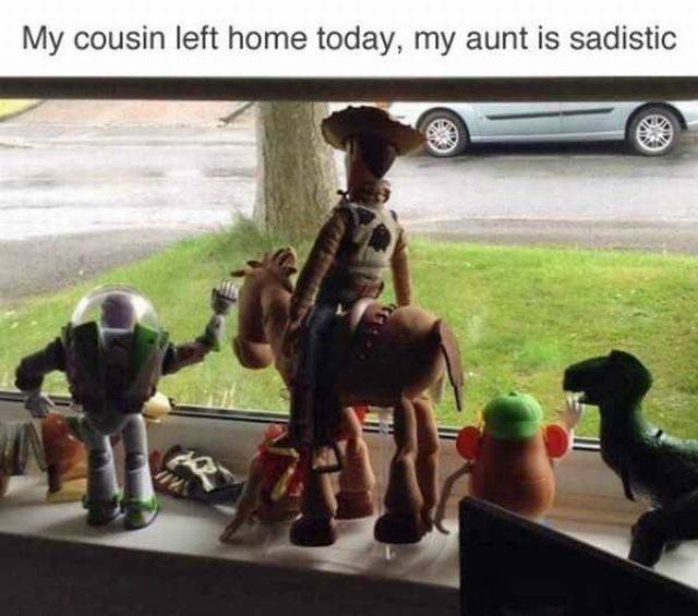 Daily Picdump