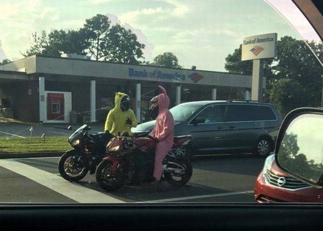Daily Picdump
