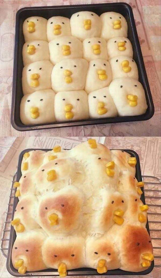 Daily Picdump
