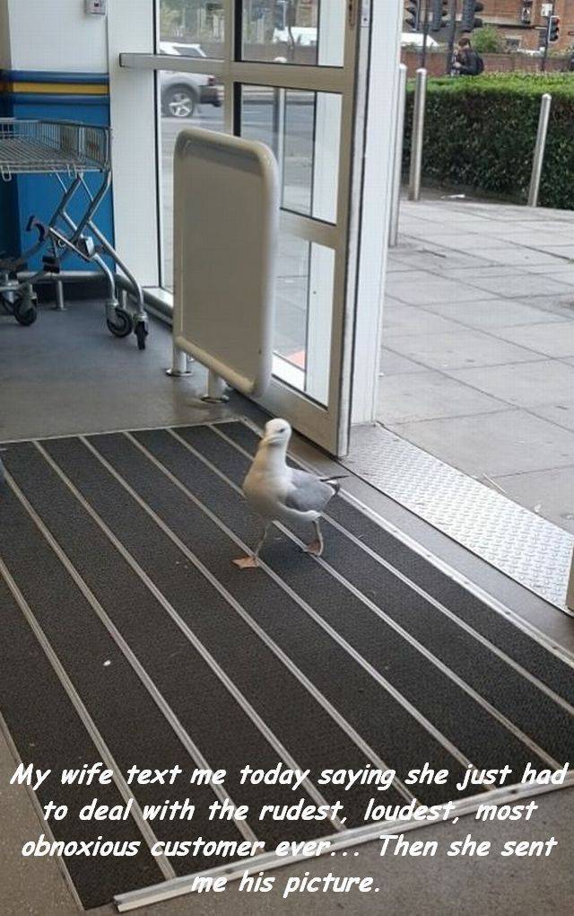 Daily Picdump