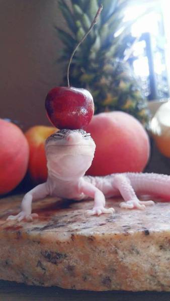 Daily Picdump
