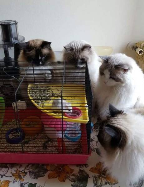Daily Picdump