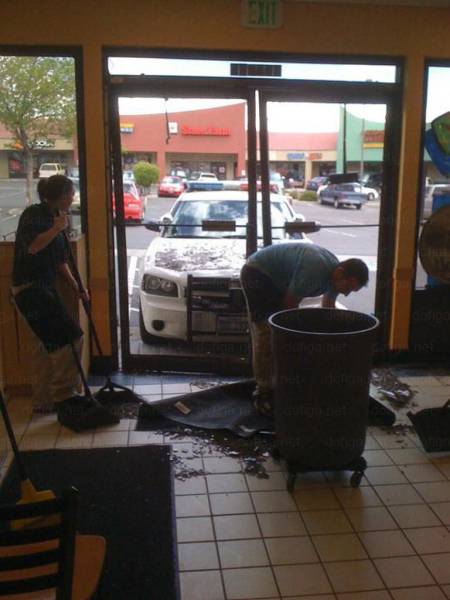 Daily Picdump