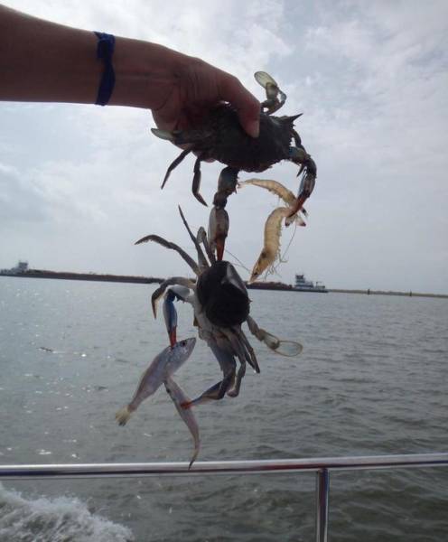 Morning Picdump