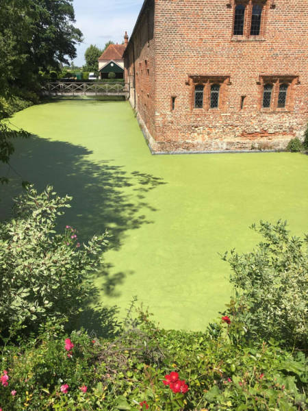 Pictures That Will Make You Look Twice