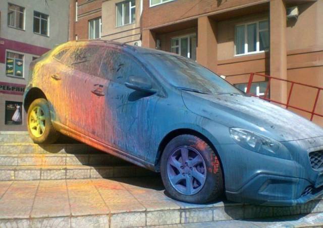 Daily Picdump