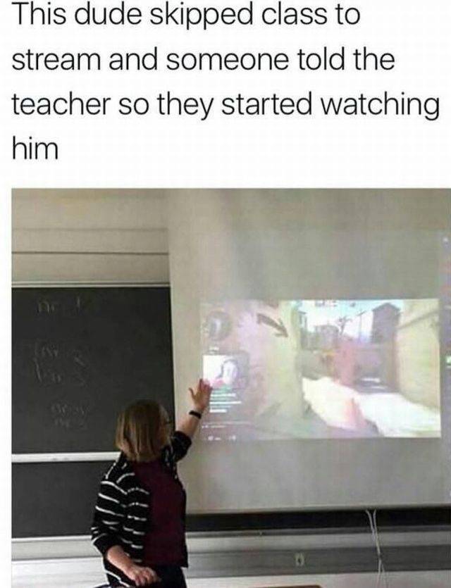 Daily Picdump