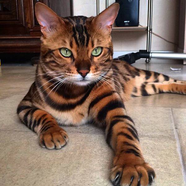 Daily Picdump