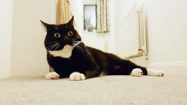 Daily Picdump