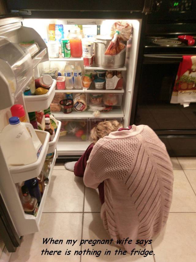 Daily Picdump