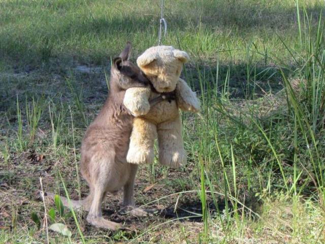 Daily Picdump