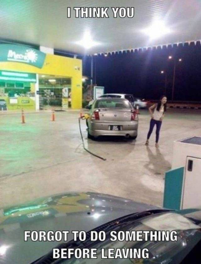 Daily Picdump