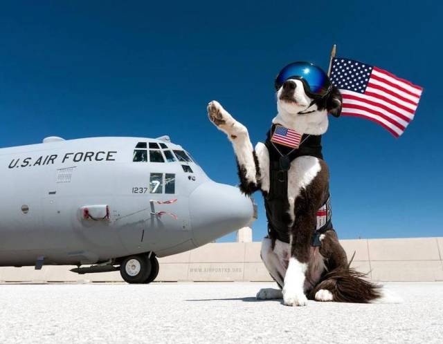 Daily Picdump [WEEKEND EDITION]