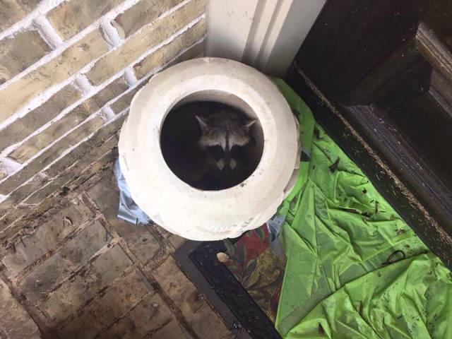 Daily Picdump [WEEKEND EDITION]