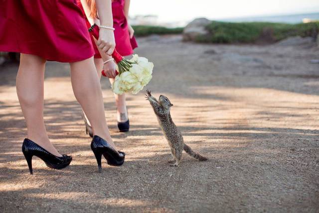 Daily Picdump