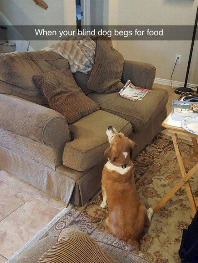 Daily Picdump