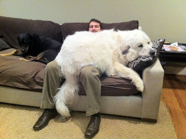 Morning Picdump