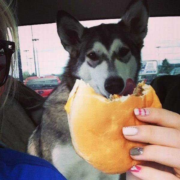 Daily Picdump