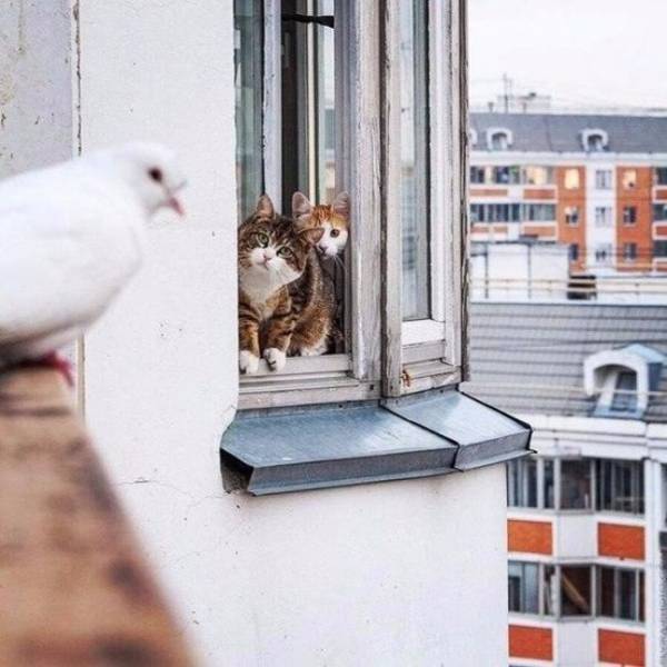 Daily Picdump