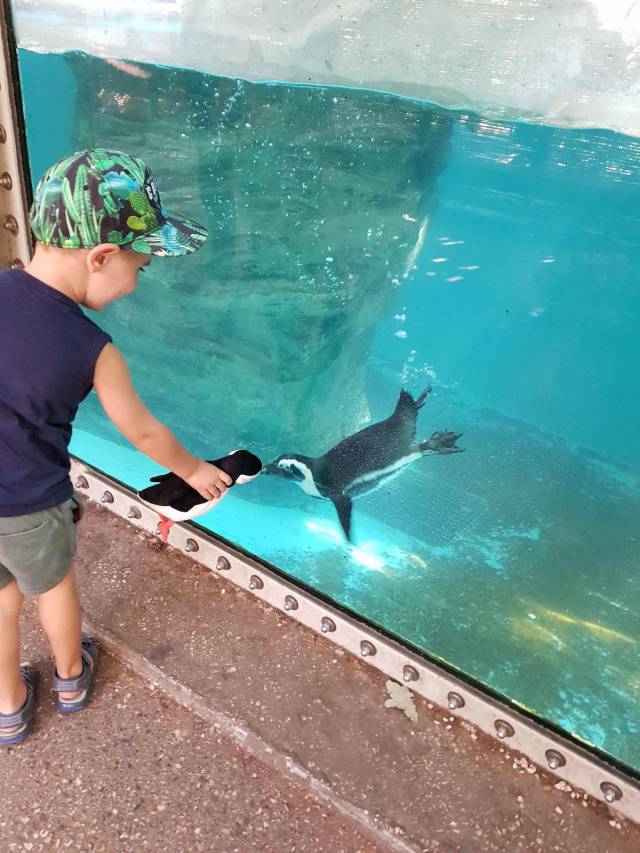 Daily Picdump