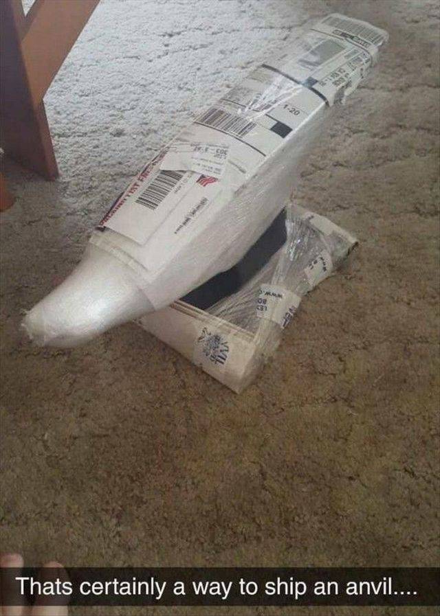 Daily Picdump