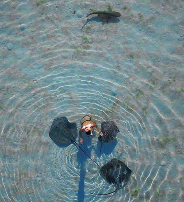 Daily Picdump [WEEKEND EDITION]