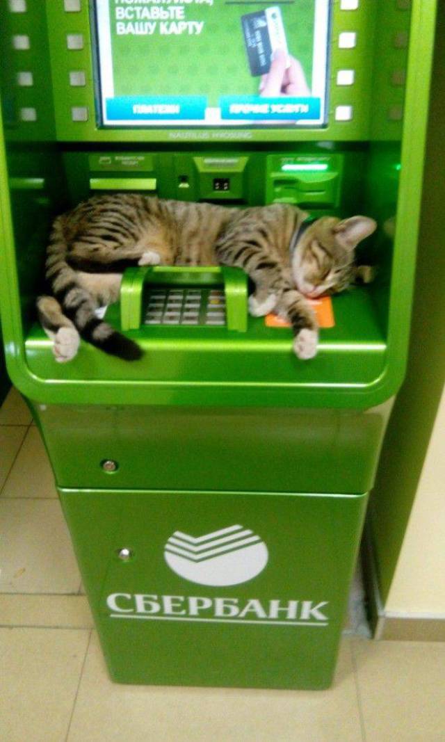 Daily Picdump [WEEKEND EDITION]