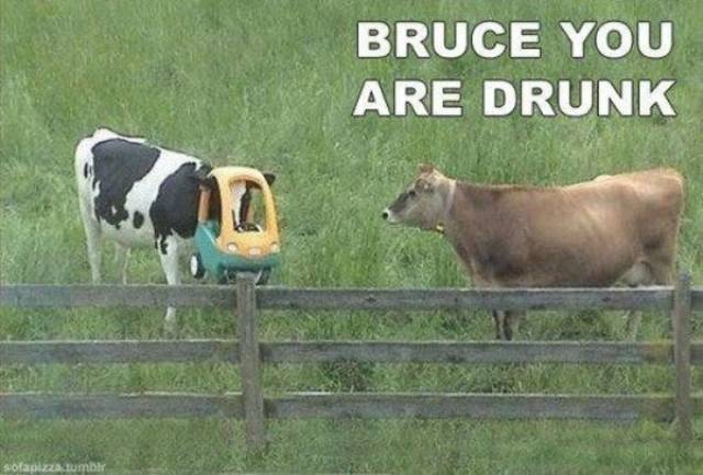 Have You Ever Been So Drunk...?