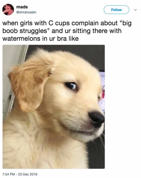 Big Boobs Can Cause Big Problems