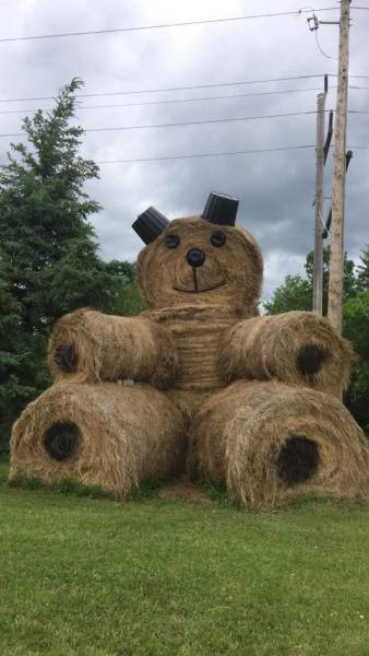Morning Picdump