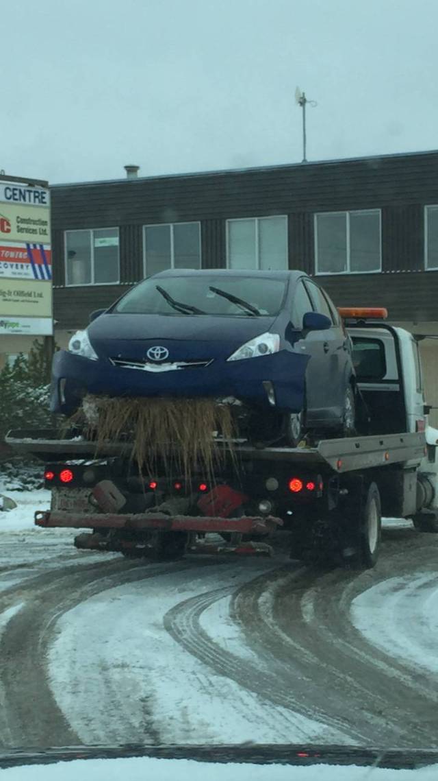 Morning Picdump