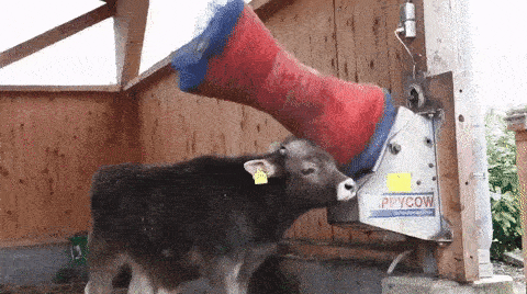 Science Has Invented Some Pretty Bizarre Machinery