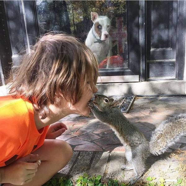 This Squirrel Never Forgot Who Saved Her Life