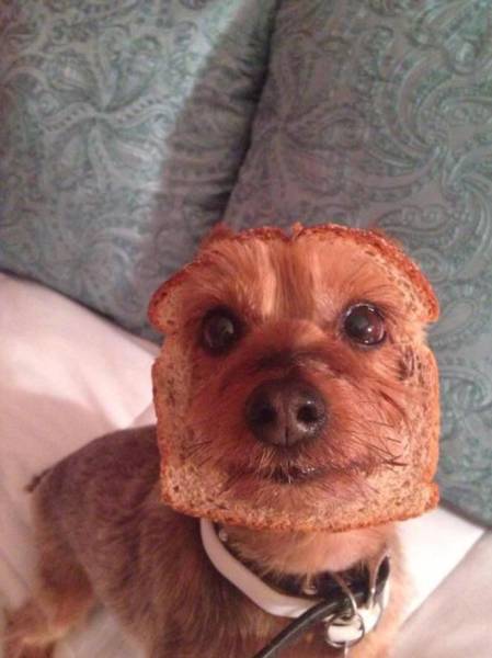 Morning Picdump