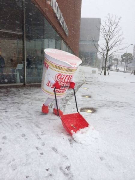 Morning Picdump