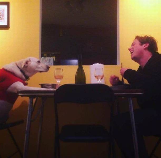 Daily Picdump