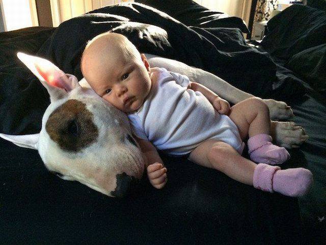 Daily Picdump