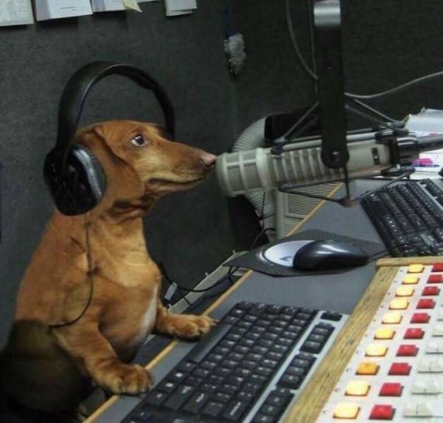 Daily Picdump [WEEKEND EDITION]